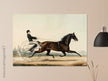 Racehorse Mac by  Nathaniel Currier 1853.