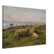 Sheep by the Sea by Rosa Bonheur.