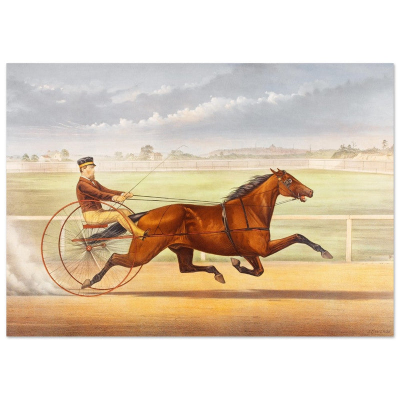 Harness horse racing lithograph. Mr. Bonner's Horse Joe Elliott by John Cameron.