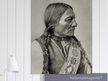 Sitting Bull native american indian leader.