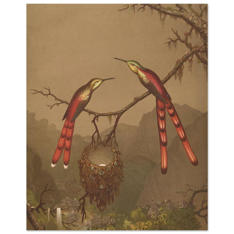 Brazilian Hummingbirds I by Martin Johnson Heade