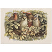 Richard Doyle illustration for Fairyland book. Elves and owls