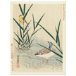 Water bird looking at yellow songbird by Kano Tsunenobu, 1893.