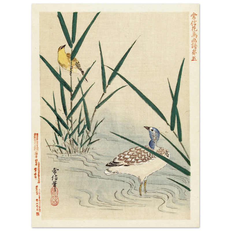 Water bird looking at yellow songbird by Kano Tsunenobu, 1893.
