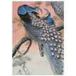 Two peacocks on tree branch by Ohara Koson