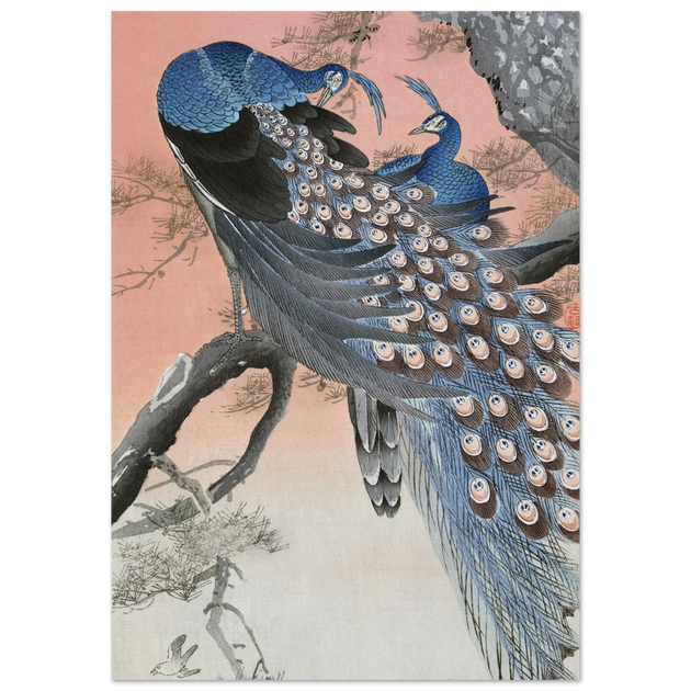 Two peacocks on tree branch by Ohara Koson