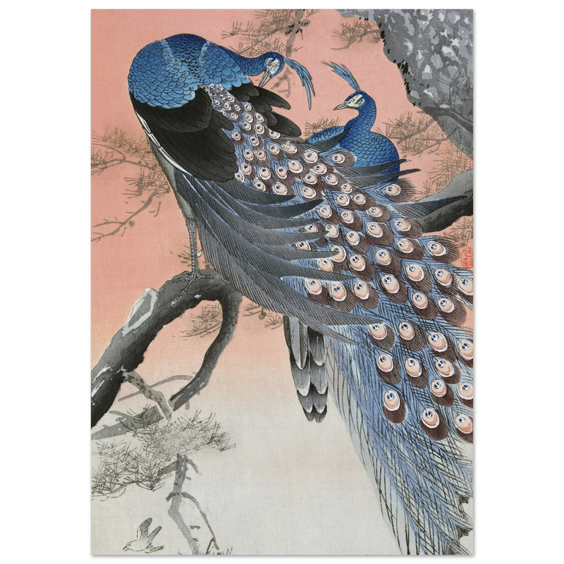 Two peacocks on tree branch by Ohara Koson