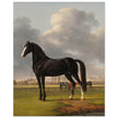 Antique painting of black horse by Anthony Oberman 1828. The fast one in a Meadow.
