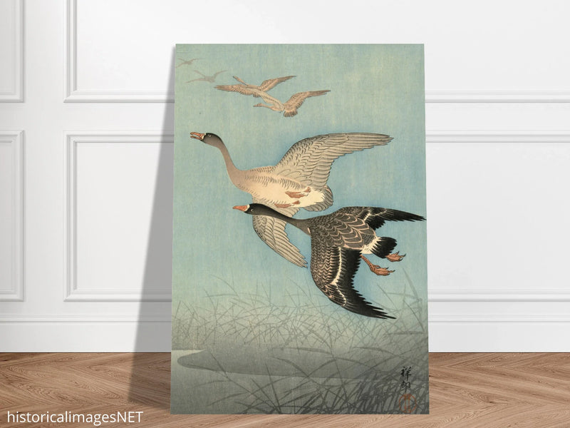 Ohara Koson White fronted geese in flight.