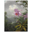 Hummingbird Perched on the Orchid Plant  by Martin Johnson Heade