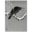 Crow on snowy tree branch by Ohara Koson, ,