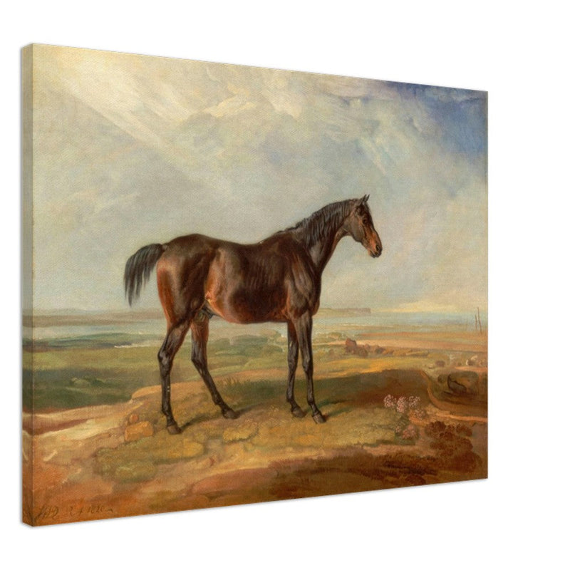 Old painting of brown horse by James Ward 1820.