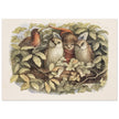 Richard Doyle illustration for Fairyland book. Elves and owls