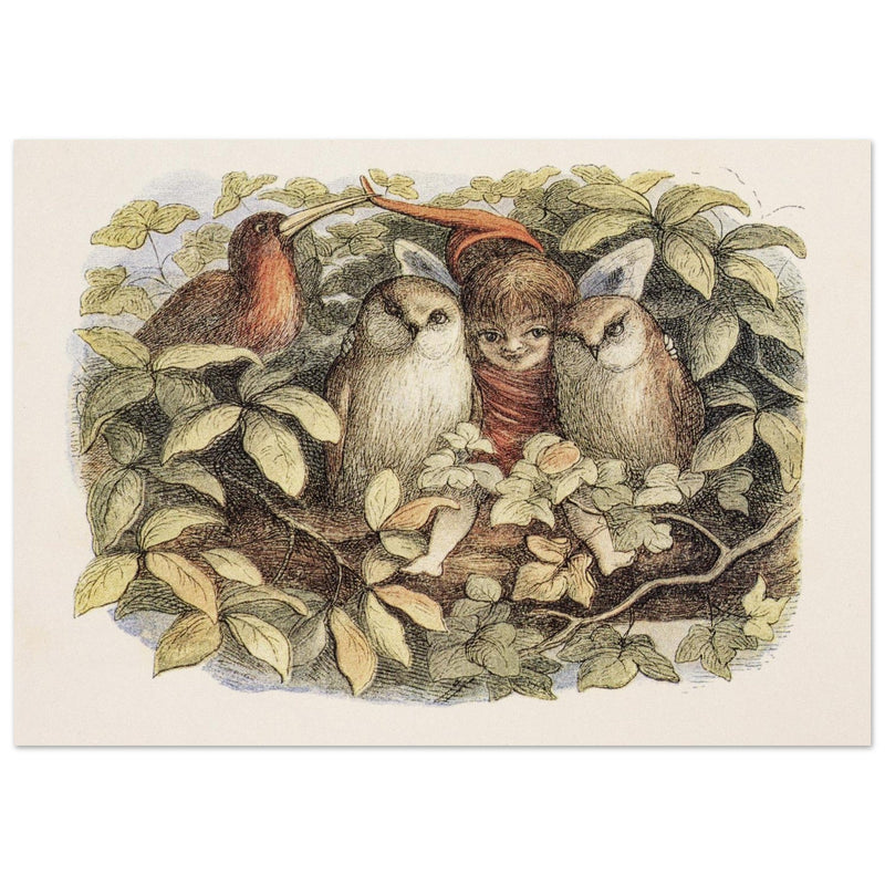 Richard Doyle illustration for Fairyland book. Elves and owls