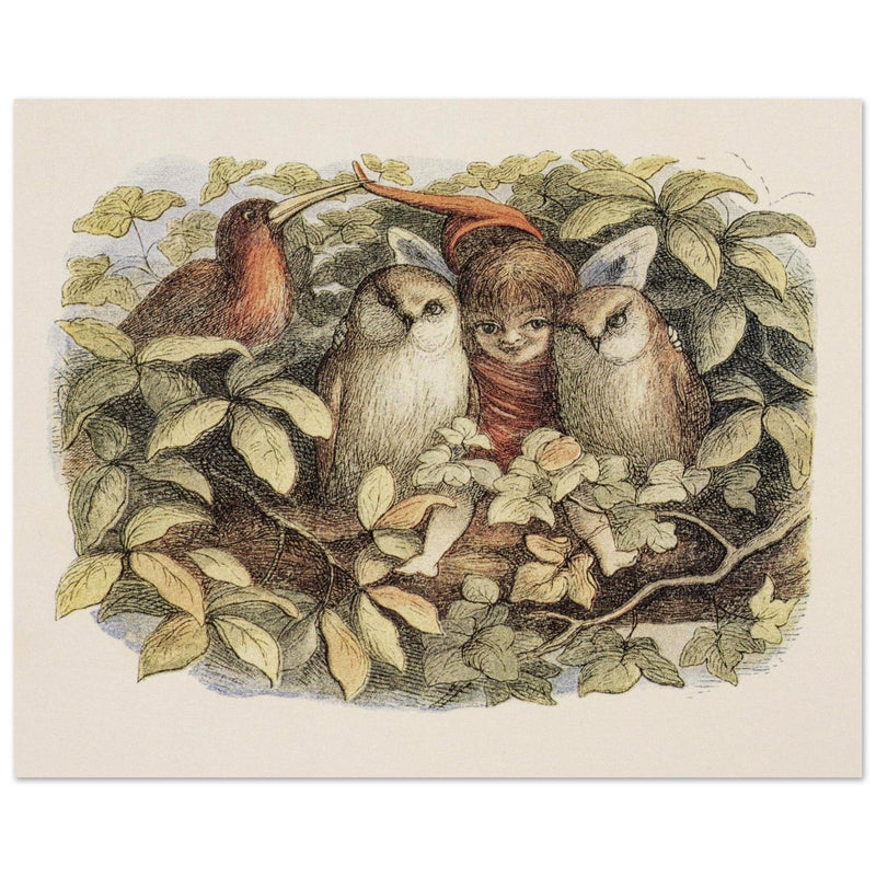 Richard Doyle illustration for Fairyland book. Elves and owls