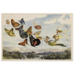 Richard Doyle illustration for Fairyland. The Fairy Queen in her carriage driven by butterflies.