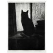 The Cat poster reproduction Author : Cristopher Richard Wynne Nevinson
