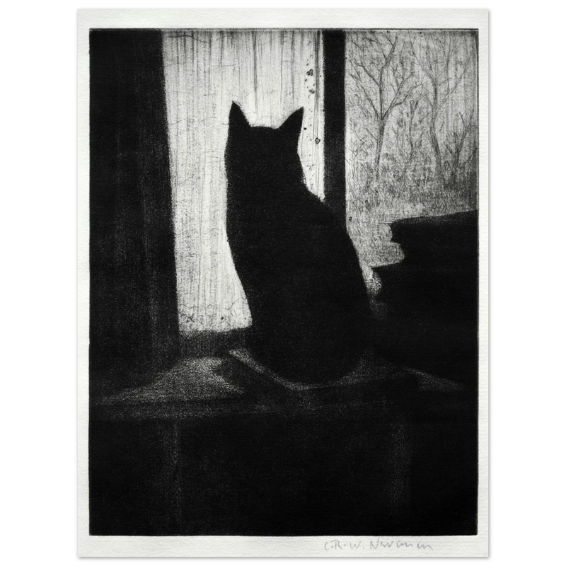 The Cat poster reproduction Author : Cristopher Richard Wynne Nevinson