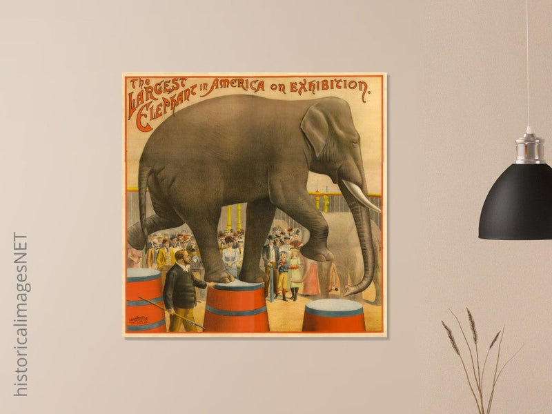 Vintage circus exhibition poster.