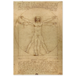Leonardo da Vinci Vitruvian Man drawing  .