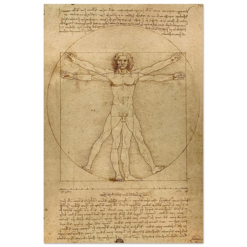 Leonardo da Vinci Vitruvian Man drawing  .