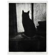 The Cat poster reproduction Author : Cristopher Richard Wynne Nevinson