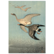 Ohara Koson White fronted geese in flight.