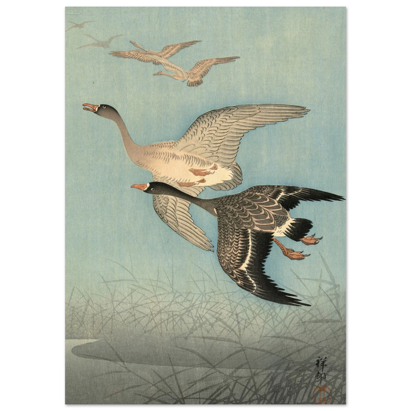 Ohara Koson White fronted geese in flight.