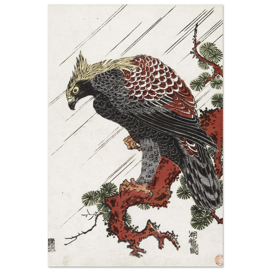 Eagle on pine branch in rain, by Isoda Koryusai