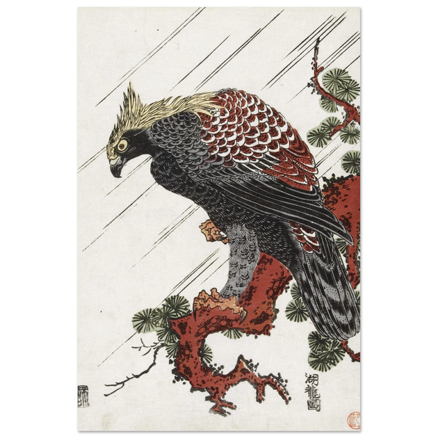 Eagle on pine branch in rain, by Isoda Koryusai