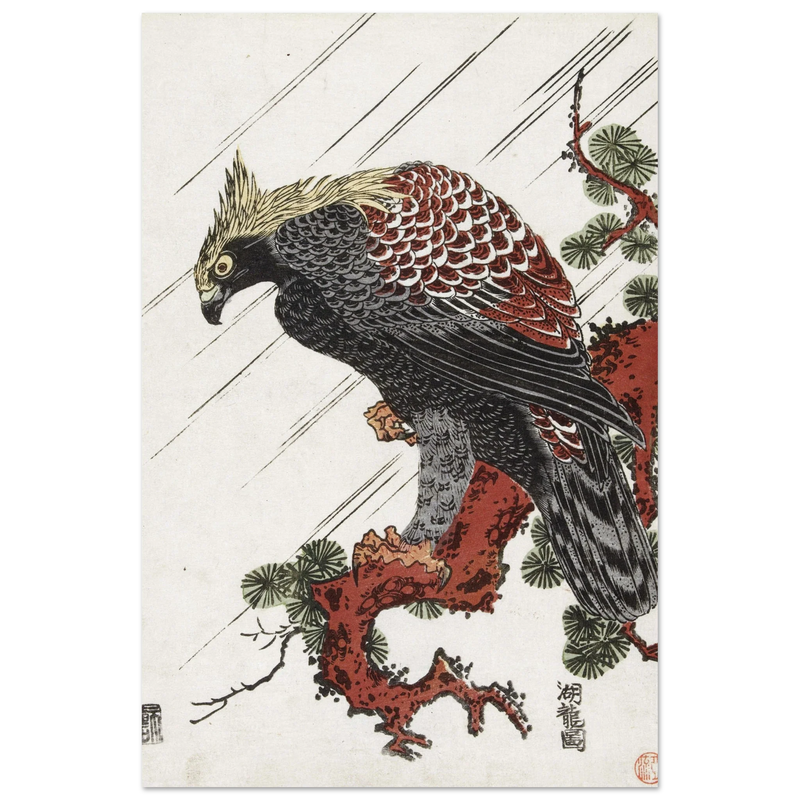 Eagle on pine branch in rain, by Isoda Koryusai