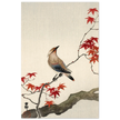Japanese waxwing on maple by Ohara Koson