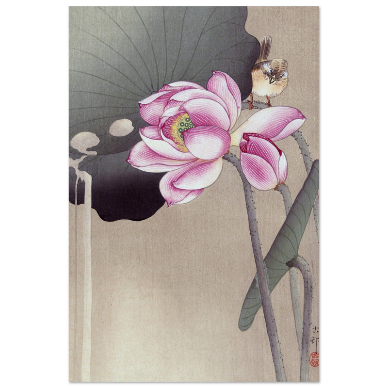 Songbird and Lotus by Ohara Koson woodblock print reproduction