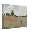 Poppy Field by Claude Monet