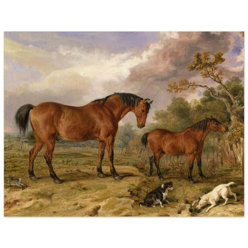 Old painting of horses by James Ward 1835. Portrait of Reformer, Blucher, Tory and Crib.