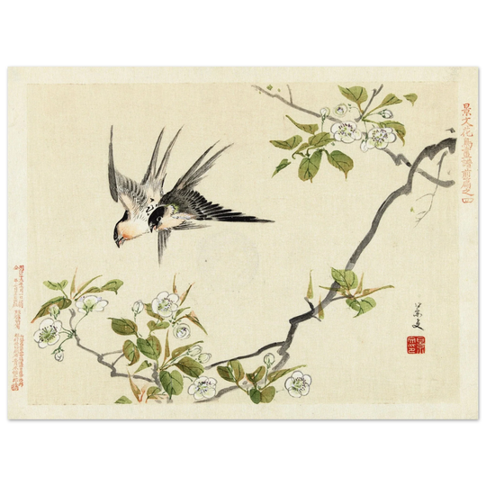 Two swallows by Matsumura Keibun, 1892 .