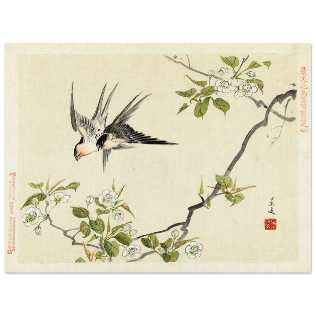 Two swallows by Matsumura Keibun, 1892 .
