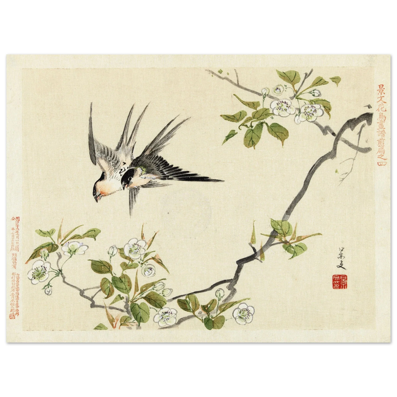 Two swallows by Matsumura Keibun, 1892 .