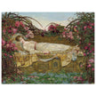 The Sleeping Beauty painting by Archibald Wakley