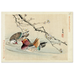 Two ducks by Matsumura Keibun, 1892.
