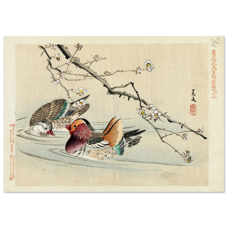 Two ducks by Matsumura Keibun, 1892.
