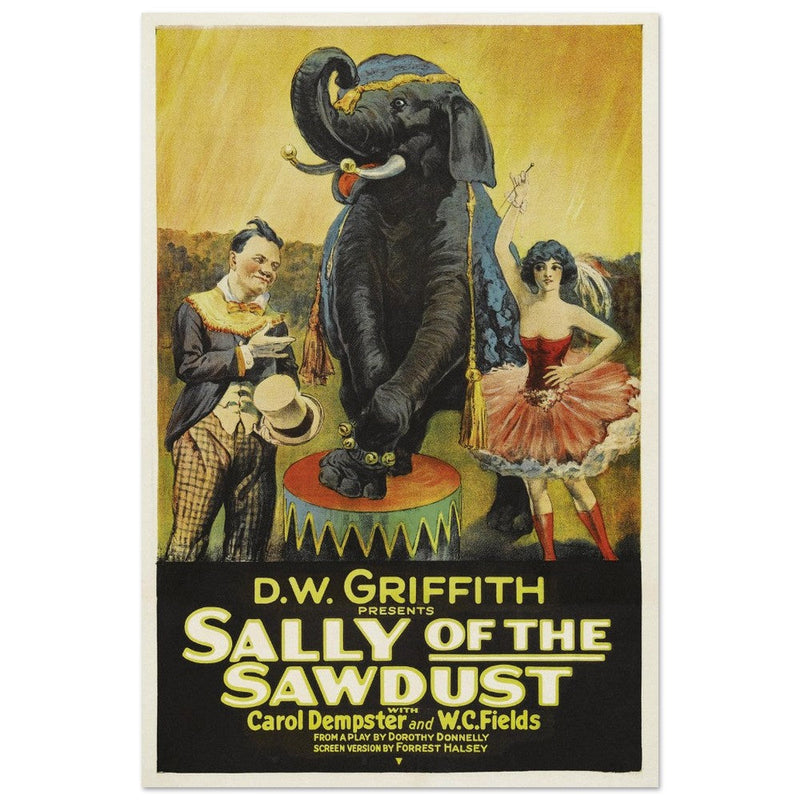Sally of the Sawdust by D.W Griffith movie poster.