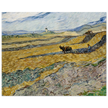 Enclosed Field with Ploughman by Vincent Van Gogh
