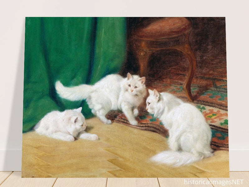 Three white cats playing old painting by Arthur Heyer.