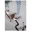 Ring sparrows at wisteria by Ohara Koson