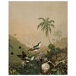 Brazilian Hummingbirds II by Martin Johnson Heade