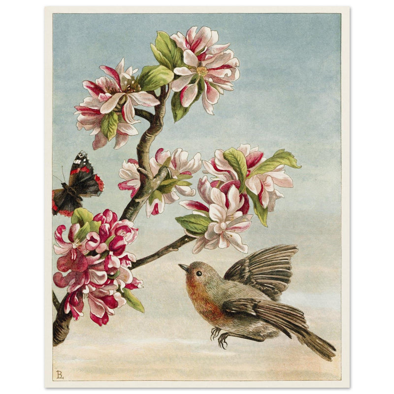 About Robins vintage cute bird illustration by Lady Lindsay