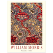 William Morris Wandle  from printed cotton original.