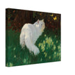 White Cat and Butterflies old painting by Arthur Heyer .