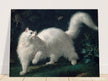 White Angora Cat painting by Jean-Jacques Bachelier poster